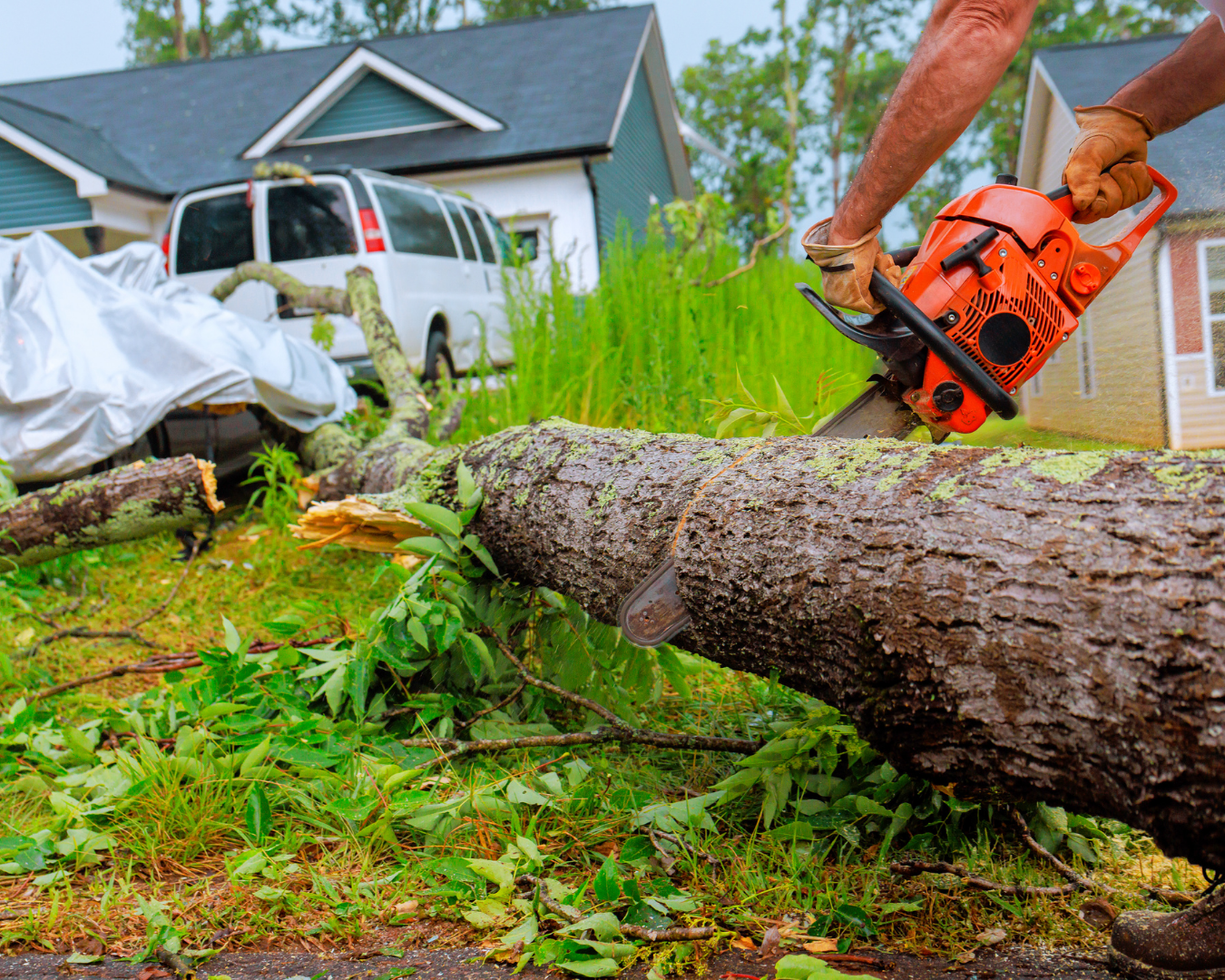 Storm Damage Restoration